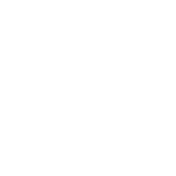 Professional window and door inspection service