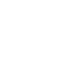 Skilled technician and service expert icon